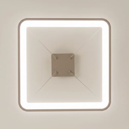 BRILAGI - LED Stmievateľný luster na lanku FALCON SLIM LED/50W/230V 3000-6500K 50x50 cm béžová + diaľkové ovládanie