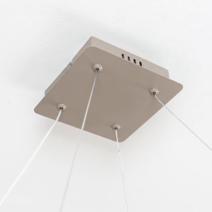 BRILAGI - LED Stmievateľný luster na lanku FALCON SLIM LED/50W/230V 3000-6500K 50x50 cm béžová + diaľkové ovládanie