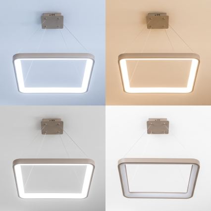 BRILAGI - LED Stmievateľný luster na lanku FALCON SLIM LED/50W/230V 3000-6500K 50x50 cm béžová + diaľkové ovládanie
