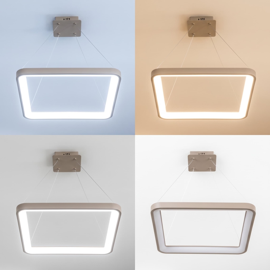BRILAGI - LED Stmievateľný luster na lanku FALCON SLIM LED/50W/230V 3000-6500K 50x50 cm béžová + diaľkové ovládanie