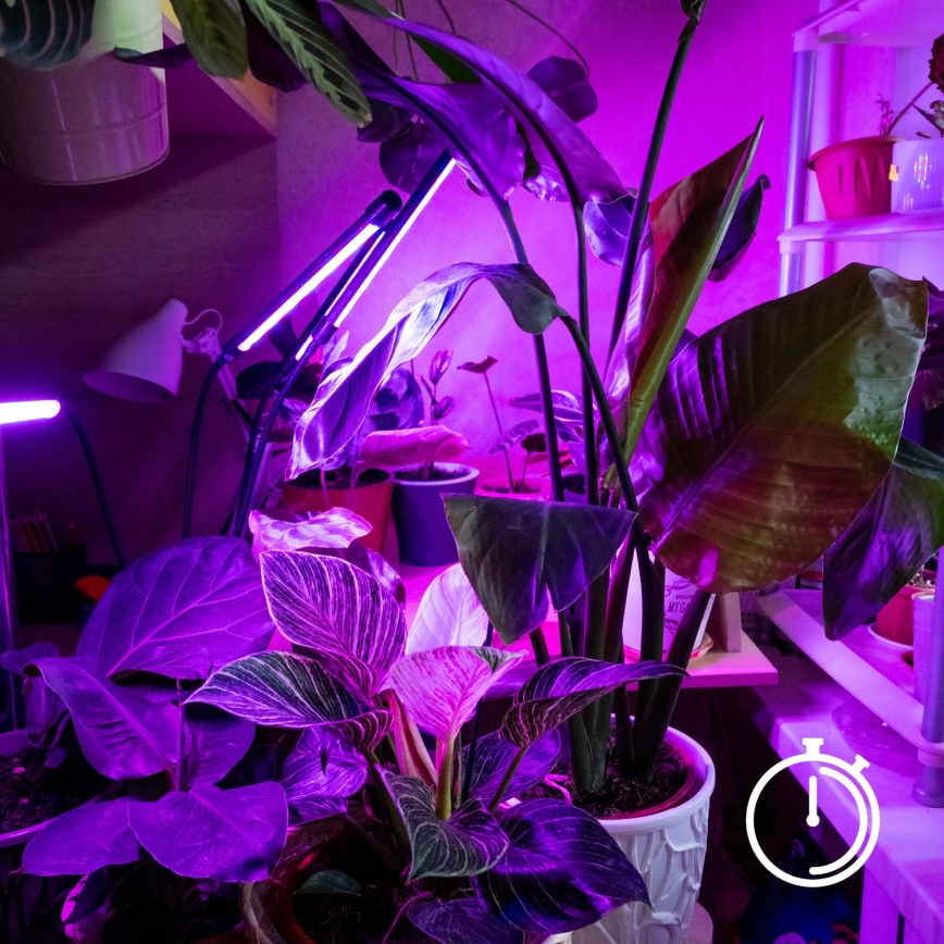 Brilagi - LED Stmievateľná flexibilná stolná lampa s klipom na pestovanie rastlín VITABLOOM 3xLED/10W/230V čierna