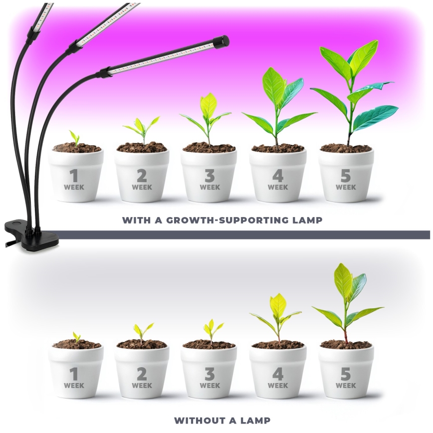 Brilagi - LED Stmievateľná flexibilná stolná lampa s klipom na pestovanie rastlín VITABLOOM 3xLED/10W/230V čierna