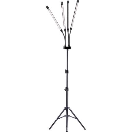 Brilagi - LED Stmievateľná flexibilná stojacia lampa na pestovanie rastlín VITABLOOM 4xLED/7,5W/230V čierna