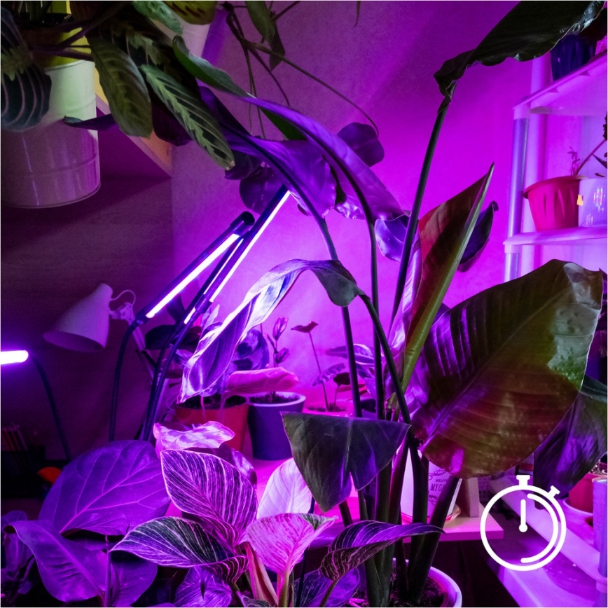 Brilagi - LED Stmievateľná flexibilná stojacia lampa na pestovanie rastlín VITABLOOM 4xLED/7,5W/230V čierna