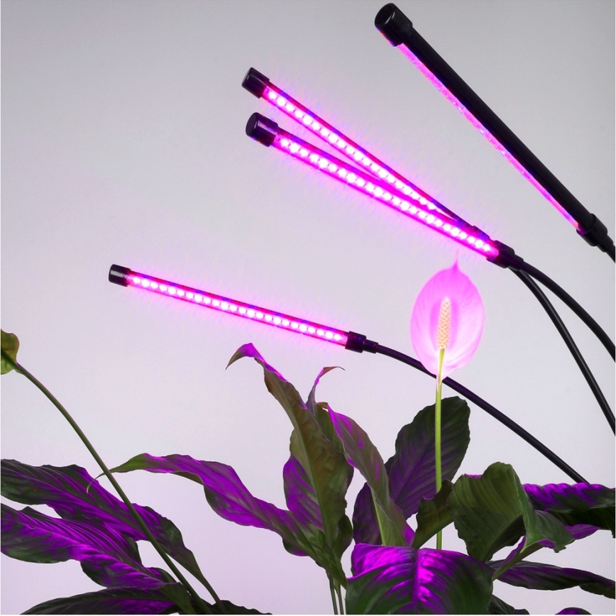 Brilagi - LED Stmievateľná flexibilná stojacia lampa na pestovanie rastlín VITABLOOM 4xLED/7,5W/230V čierna