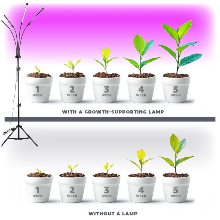 Brilagi - LED Stmievateľná flexibilná stojacia lampa na pestovanie rastlín VITABLOOM 4xLED/7,5W/230V čierna