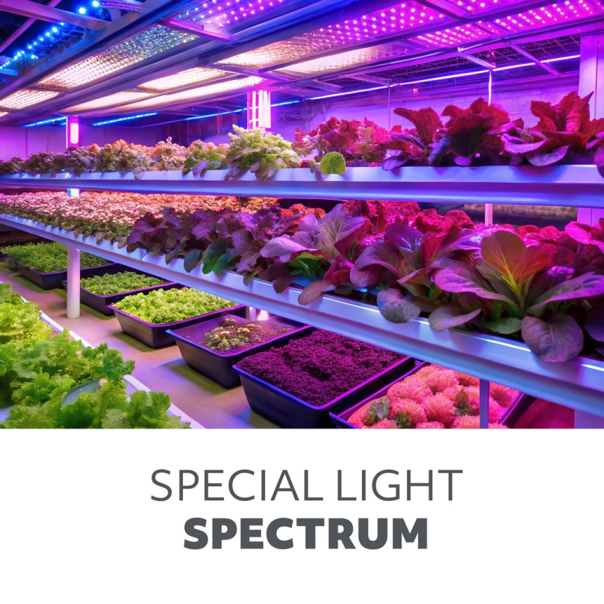 Brilagi - LED Stmievateľná flexibilná stojacia lampa na pestovanie rastlín VITABLOOM 4xLED/7,5W/230V čierna