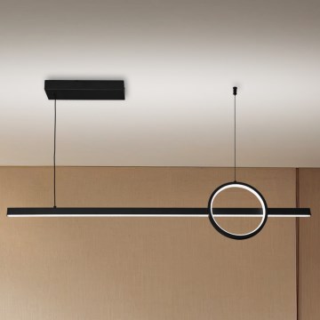 Brilagi - LED stmievačná luster na lane NIVIO LED/20W/230V 3000-6000K + diaľkové ovládanie
