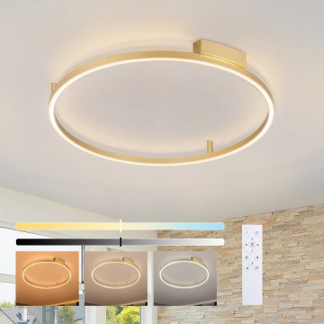 Brilagi - LED stmievané stropné svietidlo PORTOFINO LED/60W/230V 3000-6000K pr. 80 cm zlaté + diaľkové ovládanie