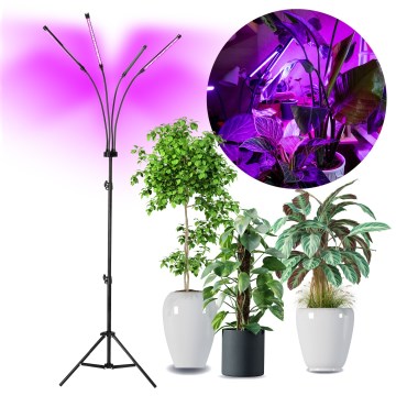 Brilagi - LED Stmievateľná flexibilná stojacia lampa na pestovanie rastlín VITABLOOM 4xLED/7,5W/230V čierna