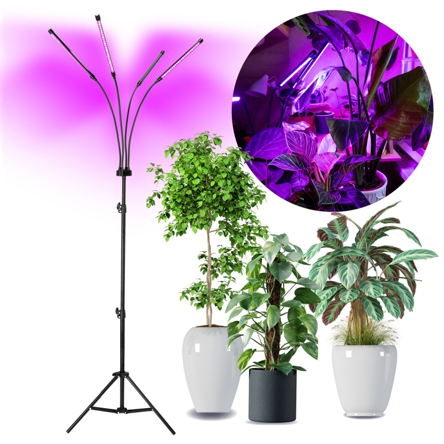 Brilagi - LED Stmievateľná flexibilná stojacia lampa na pestovanie rastlín VITABLOOM 4xLED/7,5W/230V čierna