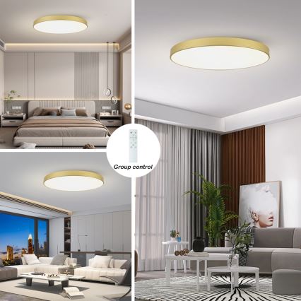 Brilagi - LED stmievateľné stropné svietidlo POOL SMART LED/180W/230V 3000-6000K 120 cm zlatá Wi-Fi Tuya + diaľkové ovládanie