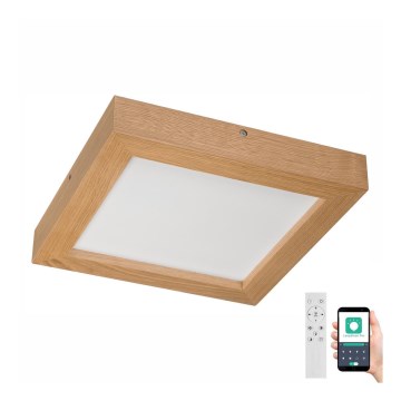 Brilagi - LED Stmievateľné kúpeľňové stropné svietidlo WOODY FRAME LED/24W/230V dub 30x30 cm 3000-6000K IP44 + diaľkové ovládanie