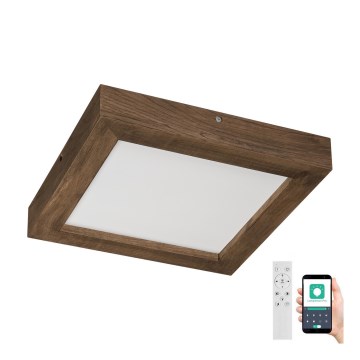 Brilagi - LED Stmievateľné kúpeľňové stropné svietidlo WOODY FRAME LED/24W/230V dub 30x30 cm 3000-6000K IP44 + diaľkové ovládanie