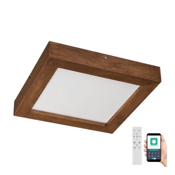 Brilagi - LED Stmievateľné kúpeľňové stropné svietidlo WOODY FRAME LED/24W/230V dub čerešňa 30x30 cm 3000-6000K IP44 + diaľkové ovládanie
