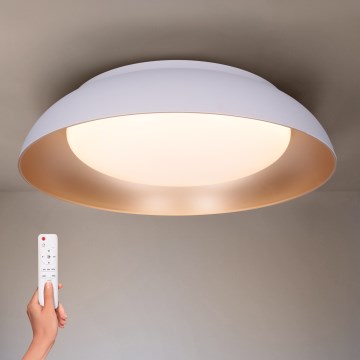 Brilagi - LED stmievateľné stropné svietidlo ALVA LED/48W/230V 3000-6500K priemer 51 cm biela + diaľkové ovládanie