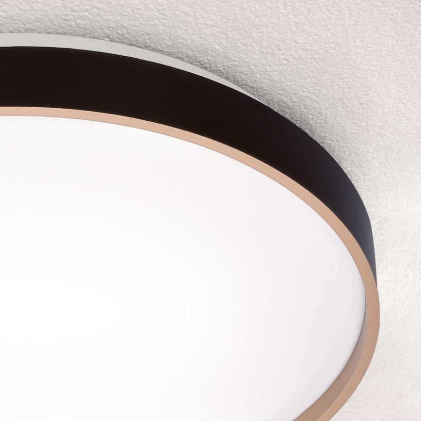 Brilagi - stmievateľné LED stropné svietidlo CALA LED/60W/230V 3000-6500K pr. 58 cm + diaľkové ovládanie