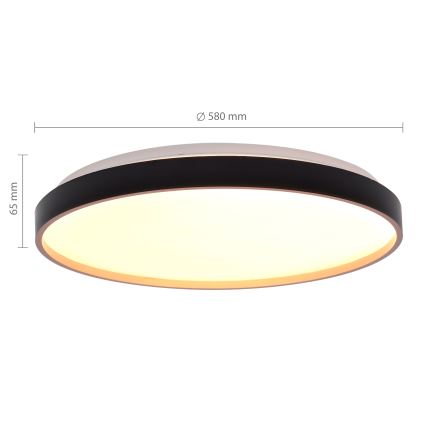 Brilagi - stmievateľné LED stropné svietidlo CALA LED/60W/230V 3000-6500K pr. 58 cm + diaľkové ovládanie