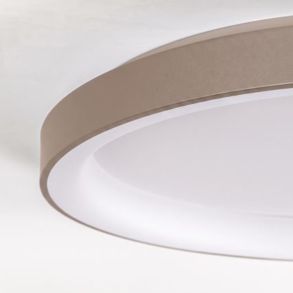 BRILAGI - LED Stmievateľné stropné svietidlo FALCON II LED/108W/230V 3000-6500K pr. 80 cm biela/béžová + diaľkové ovládanie