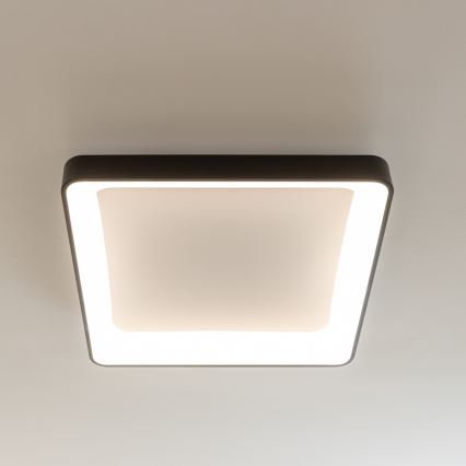 Brilagi - Stmievateľné LED stropné svietidlo FALCON II LED/125W/230V 3000-6500K 60x60 cm čierne + diaľkové ovládanie