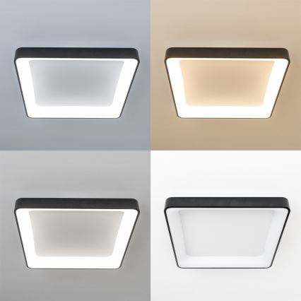 Brilagi - Stmievateľné LED stropné svietidlo FALCON II LED/125W/230V 3000-6500K 60x60 cm čierne + diaľkové ovládanie