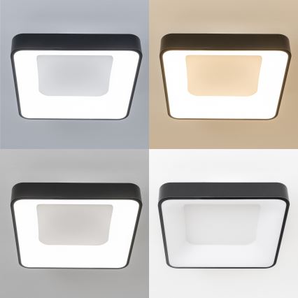 Brilagi - Stmievateľné LED stropné svietidlo FALCON II LED/80W/230V 3000-6500K 40x40 cm čierne + diaľkové ovládanie