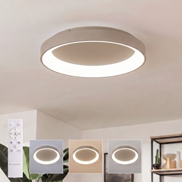 BRILAGI - LED Stmievateľné stropné svietidlo FALCON II LED/99W/230V 3000-6500K pr. 60 cm béžová + diaľkové ovládanie