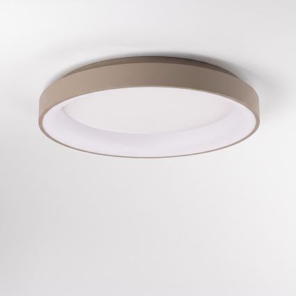 BRILAGI - LED zatemnjiva stropna svetilka FALCON II LED/99W/230V 3000-6500K premer 60 cm bela/bež + daljinski upravljalnik