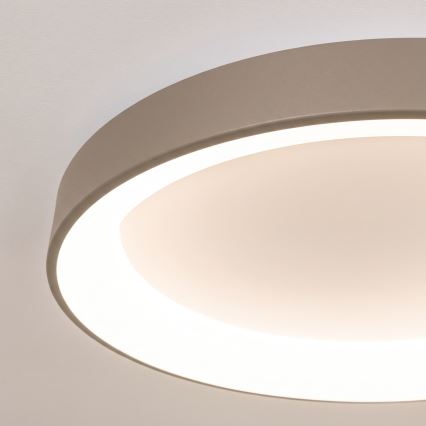 BRILAGI - LED zatemnjiva stropna svetilka FALCON II LED/99W/230V 3000-6500K premer 60 cm bela/bež + daljinski upravljalnik
