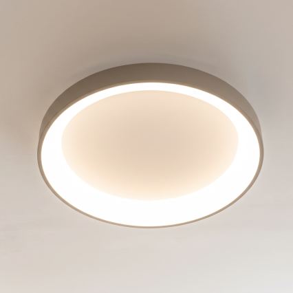 BRILAGI - LED zatemnjiva stropna svetilka FALCON II LED/99W/230V 3000-6500K premer 60 cm bela/bež + daljinski upravljalnik