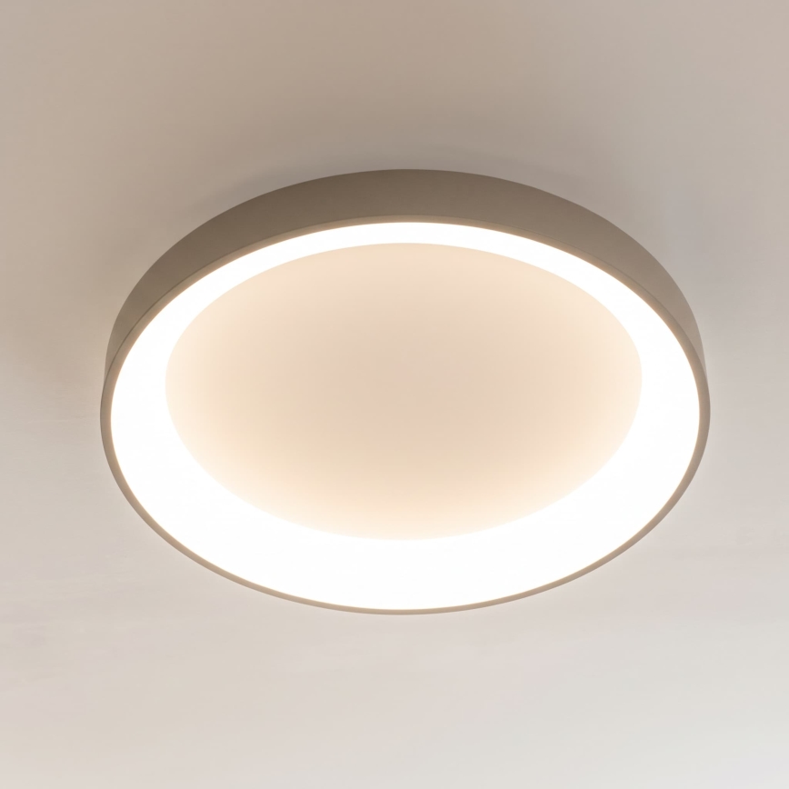 BRILAGI - LED zatemnjiva stropna svetilka FALCON II LED/99W/230V 3000-6500K premer 60 cm bela/bež + daljinski upravljalnik