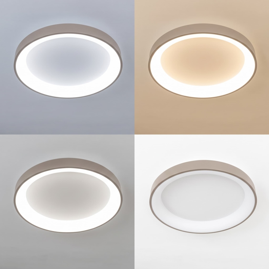 BRILAGI - LED zatemnjiva stropna svetilka FALCON II LED/99W/230V 3000-6500K premer 60 cm bela/bež + daljinski upravljalnik