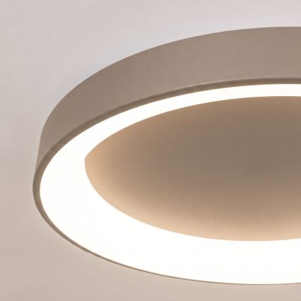 BRILAGI - LED Stmievateľné stropné svietidlo FALCON II LED/99W/230V 3000-6500K pr. 60 cm béžová + diaľkové ovládanie