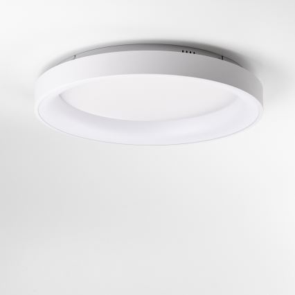 Brilagi - LED stmievateľné stropné svietidlo FALCON II LED/99W/230V 3000-6500K priemer 60 cm biele + diaľkové ovládanie