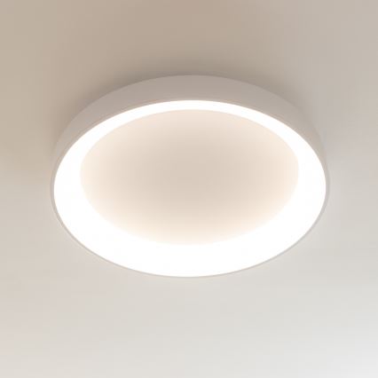 Brilagi - LED stmievateľné stropné svietidlo FALCON II LED/99W/230V 3000-6500K priemer 60 cm biele + diaľkové ovládanie