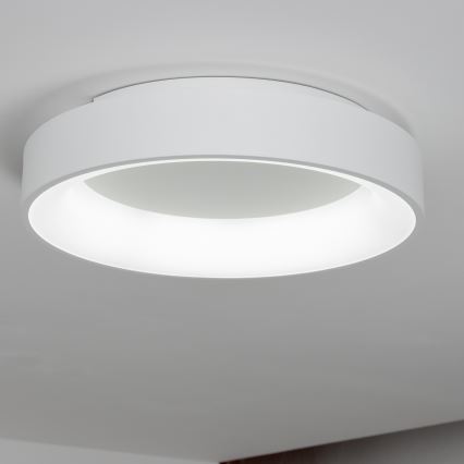 Brilagi - LED Stmievateľné stropné svietidlo FALCON LED/40W/230V 3000-6500K pr. 45 cm biela + diaľkové ovládanie