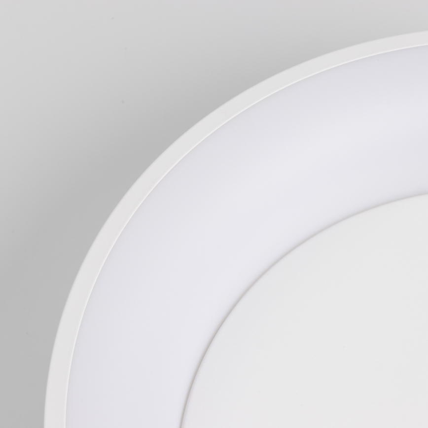 Brilagi - LED stmievateľné stropné svietidlo FALCON LED/80W/230V 3000-6500K pr. 60 cm biela + diaľkové ovládanie