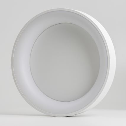 Brilagi - LED stmievateľné stropné svietidlo FALCON LED/80W/230V 3000-6500K pr. 60 cm biela + diaľkové ovládanie