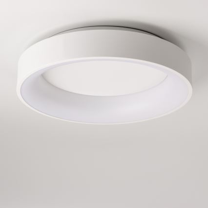 Brilagi - LED Stmievateľné stropné svietidlo FALCON LED/80W/230V 3000-6500K pr. 60 cm biela + diaľkové ovládanie