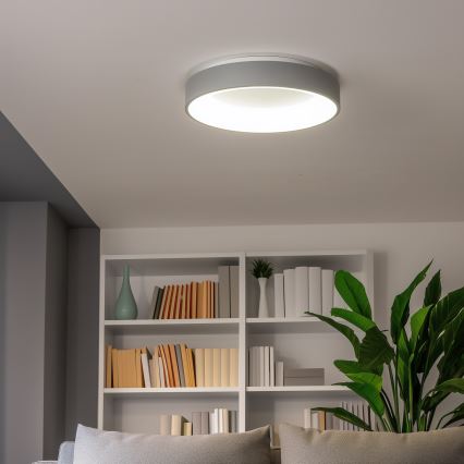 Brilagi - LED Stmievateľné stropné svietidlo FALCON LED/80W/230V 3000-6500K pr. 60 cm šedá + diaľkové ovládanie