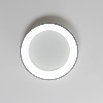 Brilagi - LED Stmievateľné stropné svietidlo FALCON LED/80W/230V 3000-6500K pr. 60 cm šedá + diaľkové ovládanie
