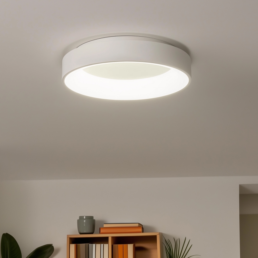 Brilagi - LED Stmievateľné stropné svietidlo FALCON LED/80W/230V 3000-6500K pr. 60 cm biela + diaľkové ovládanie