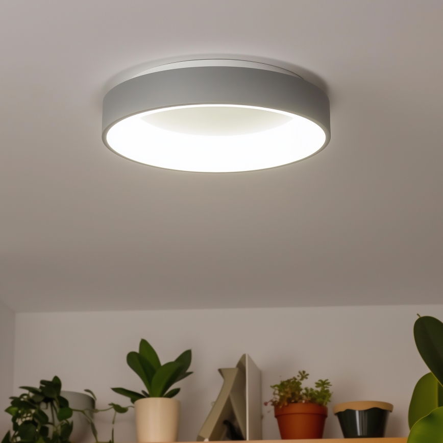 Brilagi - LED Stmievateľné stropné svietidlo FALCON LED/80W/230V 3000-6500K pr. 60 cm šedá + diaľkové ovládanie