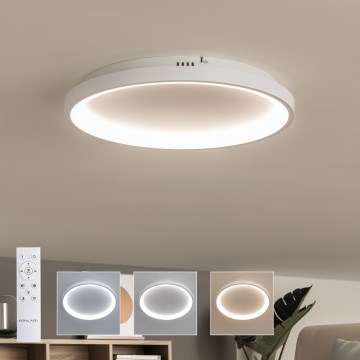 Brilagi - LED stmievateľné stropné svietidlo FALCON SLIM LED/42W/230V 3000-6500K priemer 50 cm biela + diaľkové ovládanie