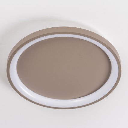 BRILAGI - LED Stmievateľné stropné svietidlo FALCON SLIM LED/42W/230V 3000-6500K pr. 50 cm béžová + diaľkové ovládanie