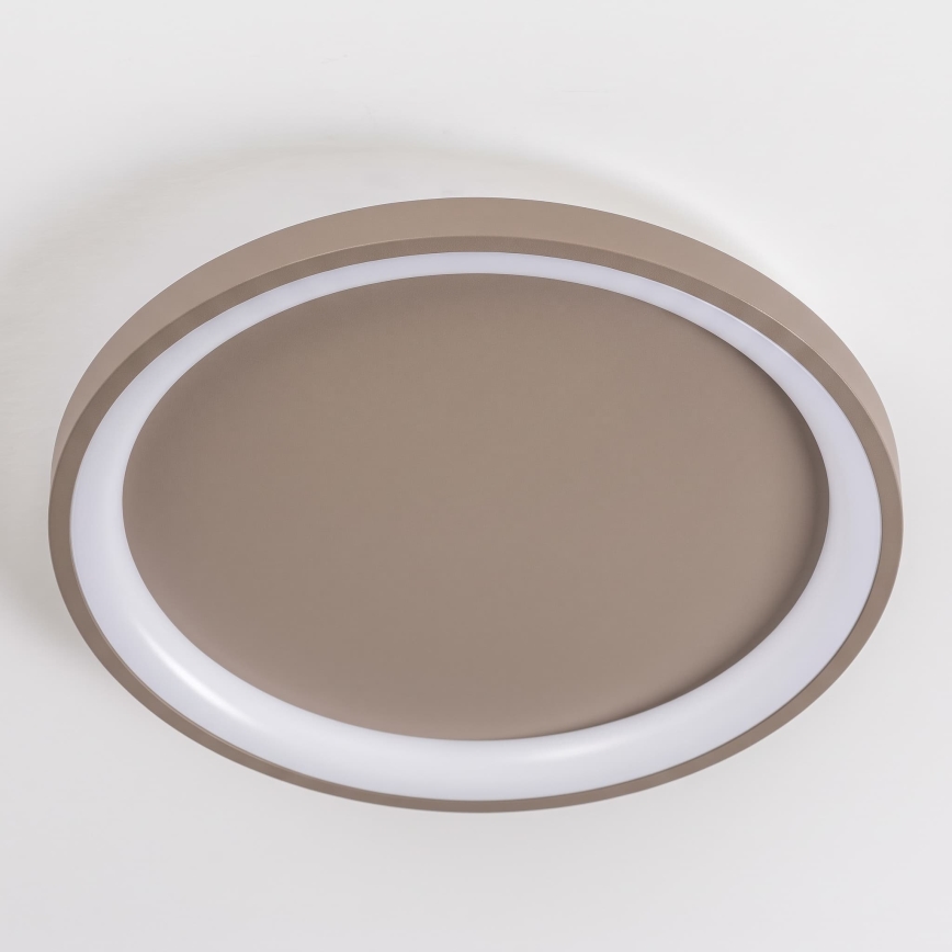 BRILAGI - LED Stmievateľné stropné svietidlo FALCON SLIM LED/42W/230V 3000-6500K pr. 50 cm béžová + diaľkové ovládanie