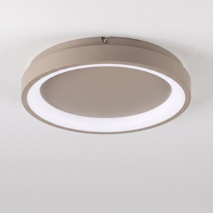 BRILAGI - LED Stmievateľné stropné svietidlo FALCON SLIM LED/42W/230V 3000-6500K pr. 50 cm béžová + diaľkové ovládanie