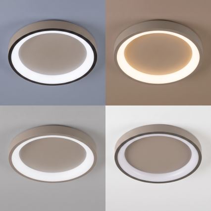 BRILAGI - LED Stmievateľné stropné svietidlo FALCON SLIM LED/42W/230V 3000-6500K pr. 50 cm béžová + diaľkové ovládanie