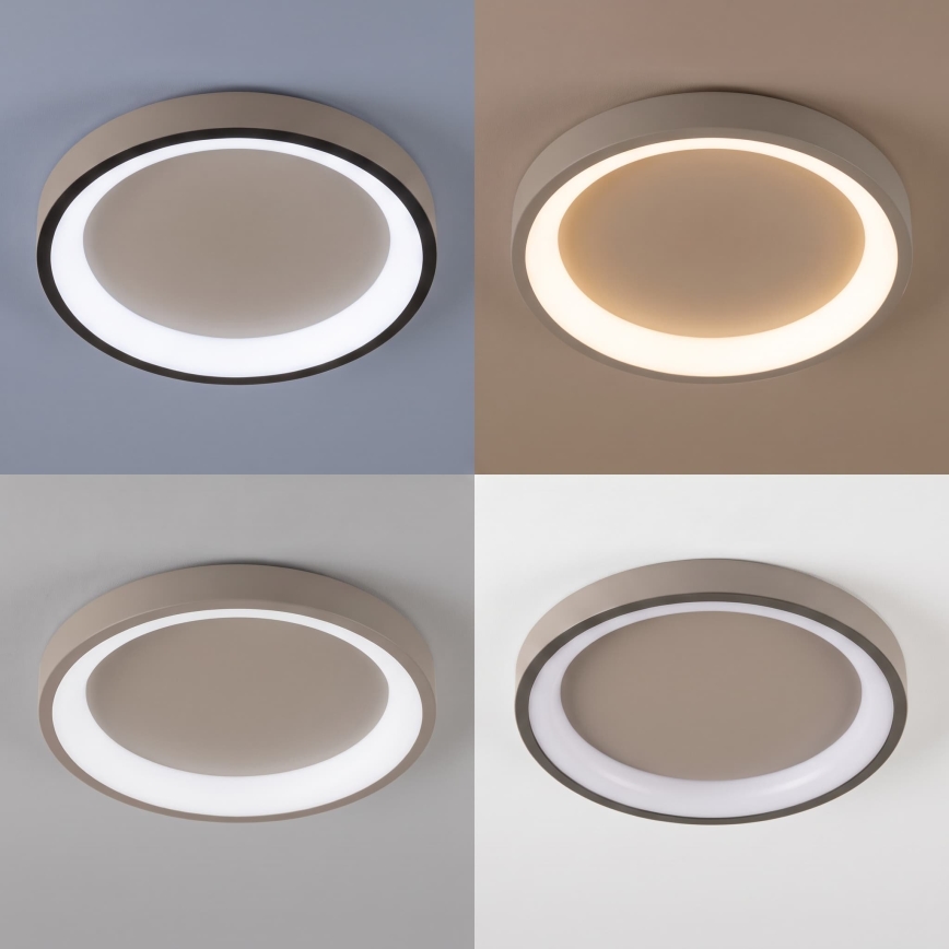 BRILAGI - LED Stmievateľné stropné svietidlo FALCON SLIM LED/42W/230V 3000-6500K pr. 50 cm béžová + diaľkové ovládanie
