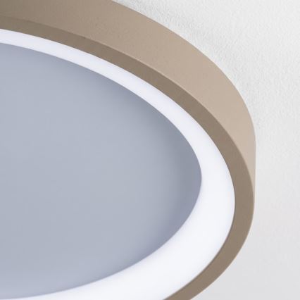 BRILAGI - LED stmievateľné stropné svietidlo FALCON SLIM LED/42W/230V 3000-6500K priemer 50 cm biela/béžová + diaľkové ovládanie